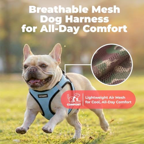 Voyager Step-in Air Dog Vest Harness - Baby Blue/Black Trim, X-Small | 13 - 14.5" in Chest, Reflective Bands, All Weather Breathable Air Mesh, Cats Compatible, Lightweight, Fast Drying - color: Harness (Baby Blue/Black Trim), size: XS (Chest: 13 - 14.5")
