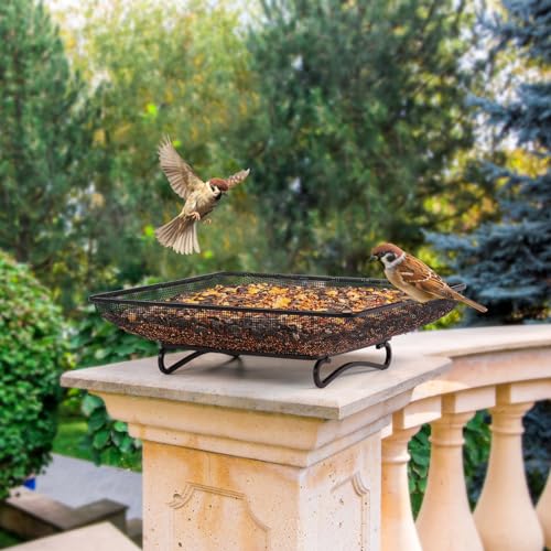 Ground Bird Feeder Tray 11x11 Inches, Metal Platform Mesh Seed Tray for Bird Feeders, Great Attracting Garden Yard Decoration for Wild Birds Squirrels Dove,1 Pack - size: 11x11 inches (1 pack)