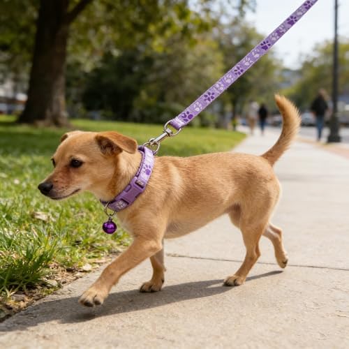 Puppy Collar and Lead Sets Pawprint Small Dog Collar and Lead Set Adjustable Cat Collars with Bell for Tiny Little XXS XS Extra Small Breed Pets Dogs Kittens Girls Female - color: light purple
