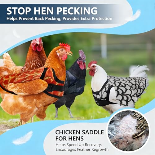 3-Pack Chicken Saddle for Hens, Back Protector with Removable Wings | Replaceable Oxford & clear wing covers protect hens’ back and wings from rooster mating, pecking and feather loss