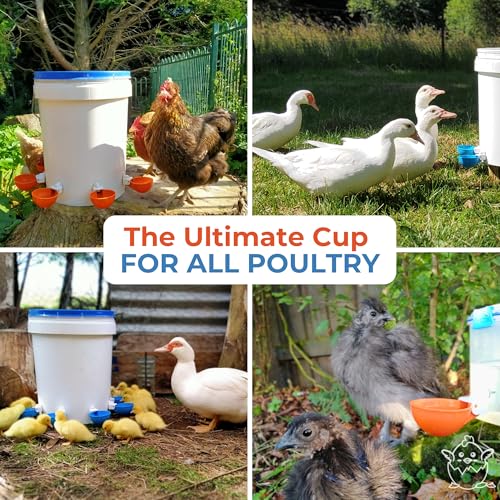 Lil'Clucker Large Automatic Chicken Waterer Cups | Chicken Water Feeder Suitable for Chicks, Duck, Goose, Turkey and Bunny | Poultry Water Feeder Kit (Orange, 5-Pack) - size: 5-Pack