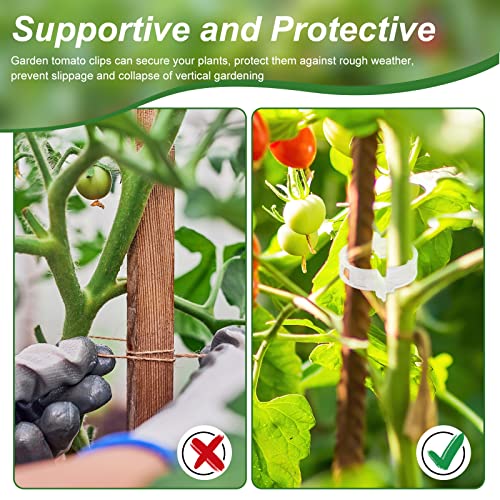 Qunclay 1500 Pcs Tomato Clips Plant Support Clips for Outdoor Plants Bulk String Trellis Grape and Tomato Vine Climbing Plants Plastic White Garden Grow Upright Makes Healthier 1" Inner Diameter