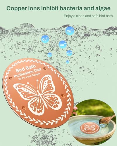 OICEME Bird Bath Purification Disk Pure Copper Outside Winter Solar Power Birdbath Wild Hummingbird Feeder Pedestal Fountain Cleaner Cage Dispenser Bowl Ground Safe Garden Gift Bird Butterfly - color: Gold 2PCS Bird&Butterfly