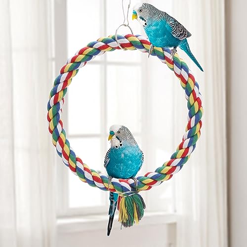 Wontee Bird Swing Colorful Rope Perch Climbing Toy for Parrots (S 7.5inch) | Soft cotton rope, colorful, supports balance, encourages climbing & swinging, for budgie/parakeet/cockatiel/conure - size: Small (7.5 inch)