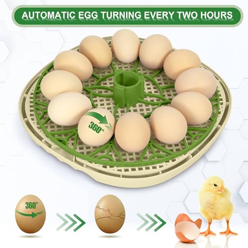 Smart Chicken Incubators for Hatching Eggs with Automatic Turner Small Poultry Duck Quail 12 Egg Incubator Temperature Control Display Hatcher Machine (Chirvy) - color: Chirvy