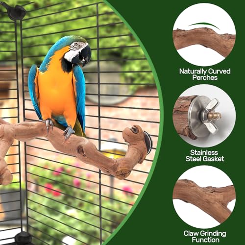 4-Piece Bird Perch Set with Rotating Ball Stand - Natural Wood Bird Gym & Playground for Parrots, Cockatiels, Budgies - size: 4Piece