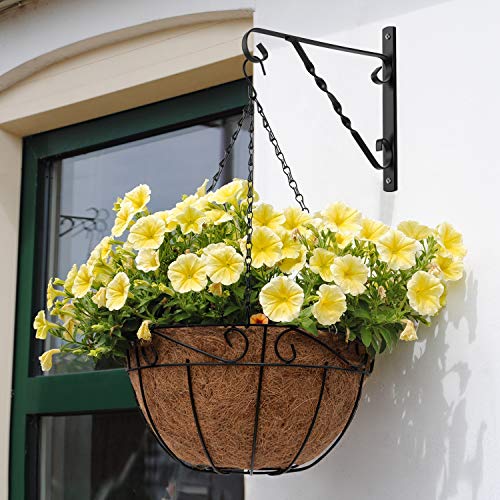 AMAGABELI GARDEN & HOME 2 Pack Hanging Plant Brackets Outdoor 12" Metal Fence Wall Plant Hanger Hooks for Hanging Flower Baskets Bird Feeders Lanterns Wind Chimes Rust-Resistant Black - size: 12 Inch, style: 2-Pack Twist Hook 1
