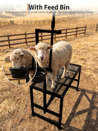 47" Heavy-Duty Steel Goat Milking Stand with Adjustable Headpiece & Legs, Feed Bin - for Grooming, Shearing, Physical Examination,and Milking, Black - color: Black, size: 47 inch