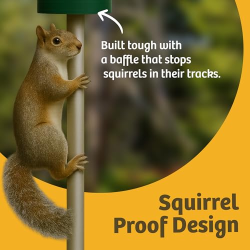 Birds Choice Classic Squirrel Proof Bird Feeder with Pole Mount | Tube Bird Feeder for Cardinals, Chickadees, Woodpeckers | Sturdy Steel for Long-Lasting Use | Backyard Bird Seed Dispenser | Green | Sturdy Steel Tube Seed Dispenser, for Cardinals, Chickad