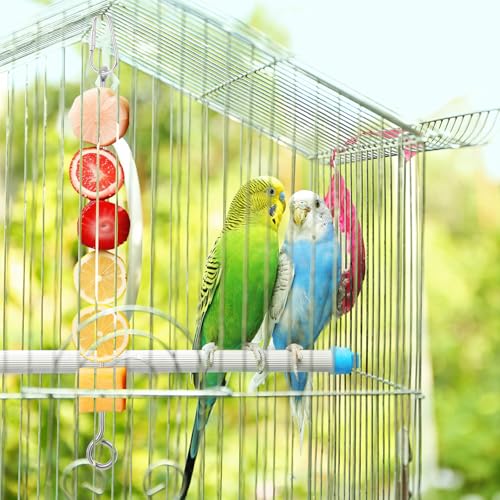 ElevateTech 3Pcs Bird Food Holder, Stainless Steel Small Animal Bird Food Treats Skewer Hanging Vegetable Fruit Feeder Feed Treating Tool Suitable Parrots Cockatoo Cockatiel (Silver)