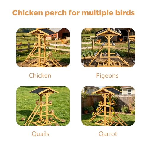 Wood Parrot Perch Multi-Tier Bird Play Stand with 2 Ladders and Canopy | Stable Wooden Bird Activity Playground, Suitable for Small Medium Parrots, Backyard Cage Accessory