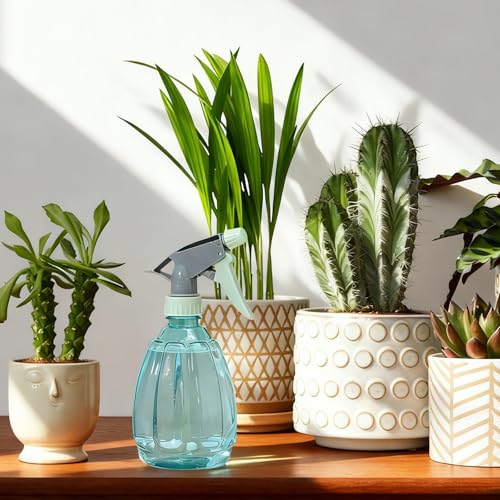 Spray Bottle for Plants,Plant Mister Spray Bottle