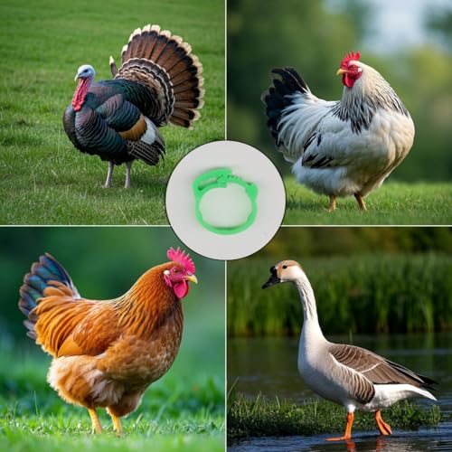 DoubleWood Large Poultry Leg Bands, 60 Pcs Adjustable Chicken Leg Bands Clip on Leg Rings for Chicken, Duck, Guinea, Goose, Gamefowl, Turkey, 20-25mm