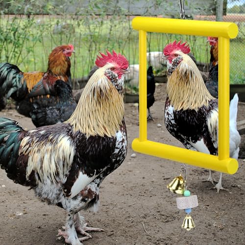 1 Pcs Chicken Mirror Toys Large 12x10 Inch Hanging Swing Mirror with Bell | Wooden Pecking Toy and 2 Pieces Beak Grinding Molar Stones for Hens Birds Parrots Coop Roosters(Yellow)
