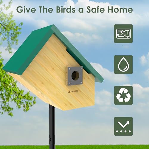 Smart Bird Houses for Outside Solar Powered, 1080P HD Live View Birdhouse with Camera, Perfect Viewing Bird Nesting and Hatching, Ideal Outdoors Bird House for Blue Bird and Cardinal (Green) - color: Green