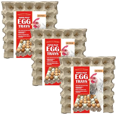 Paper Pulp Egg Trays, 20 Count (Pack of 3) - size: 11.5 x 11.5 x 2 inches (Pack of 3)