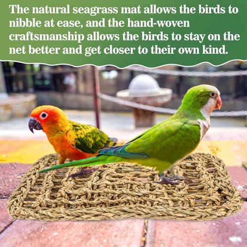 MAQIHAN Seagrass Mat for Birds - Bird Toys Seagrass 11.8x7.8 Inches | Bird Climbing Wall Seagrass Net Hammock Toy for Medium Parakeets Lovebirds Finch Budgerigars Conure Cockatiel with 2pcs twine