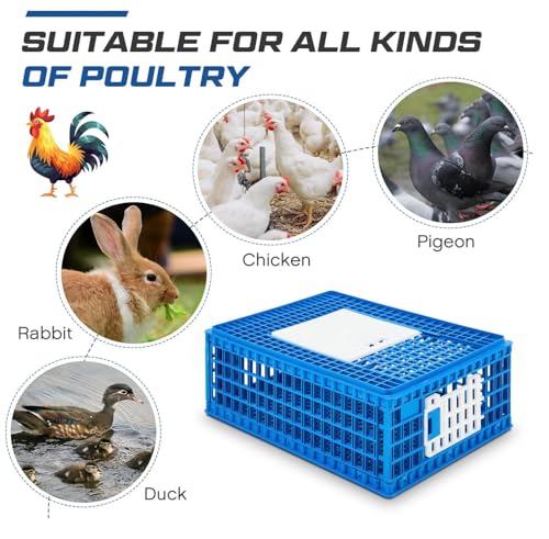 Chicken Transport 3 Door CAGE COOP Crate Chicken Quail Pigeons