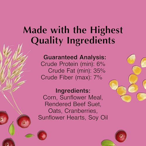 C&S Cranberry Delight No Melt Suet Dough, Suet Cakes for Wild Birds Including Robins, Blue Jays, Bluebirds, Tanagers, Thrushes and More, 8 Pack - size: 1.47 Ounce (Pack of 8), style: Cranberry, 8 Pack