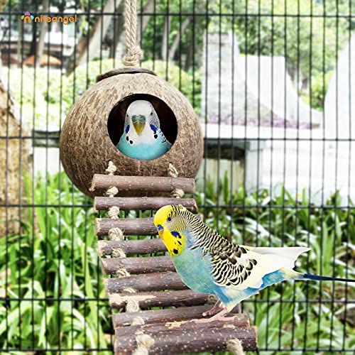Niteangel Natural Coconut Hamster Hideaway with Ladder, Bird and Small Animal Toy (House with Ladder, Smooth Surface) - color: Smooth Surface