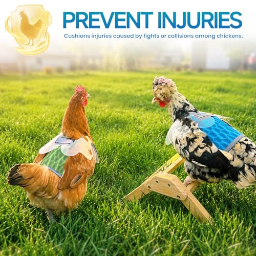 Chicken Saddles for hens with Wing | Chicken Apron Back Protector for Hens With Adjustable Strap, Chicken Hen Mating Saddle (Blue, Gray, Green) - color: Blue, Gray, Green