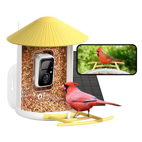 NETVUE by Birdfy Smart Bird Feeder with 2K AI Camera Solar Powered, 3MP Wireless Wildbird Watching, Live Stream & Night Vision, Auto-Capture & Notify, Collection & Cloud Storage (AI by Subscription) - color: Yellow
