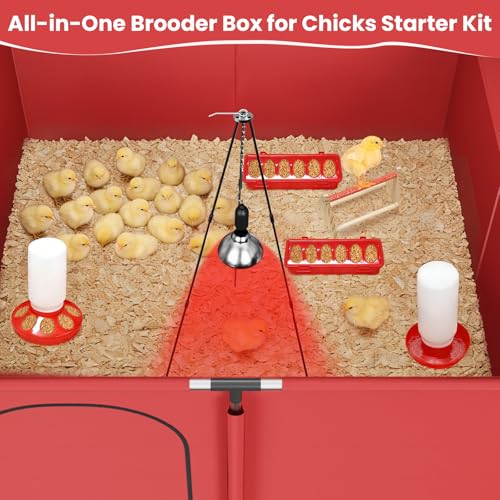 Brooder Box for Chicks, All-in-One Chick Starter Kit, Stainless Steel Frame Baby Chicken Brooder Playpen with 250W Heat Lamp, Perch, Feeder & Waterer Set, Up to 30 Chicks, Square Style