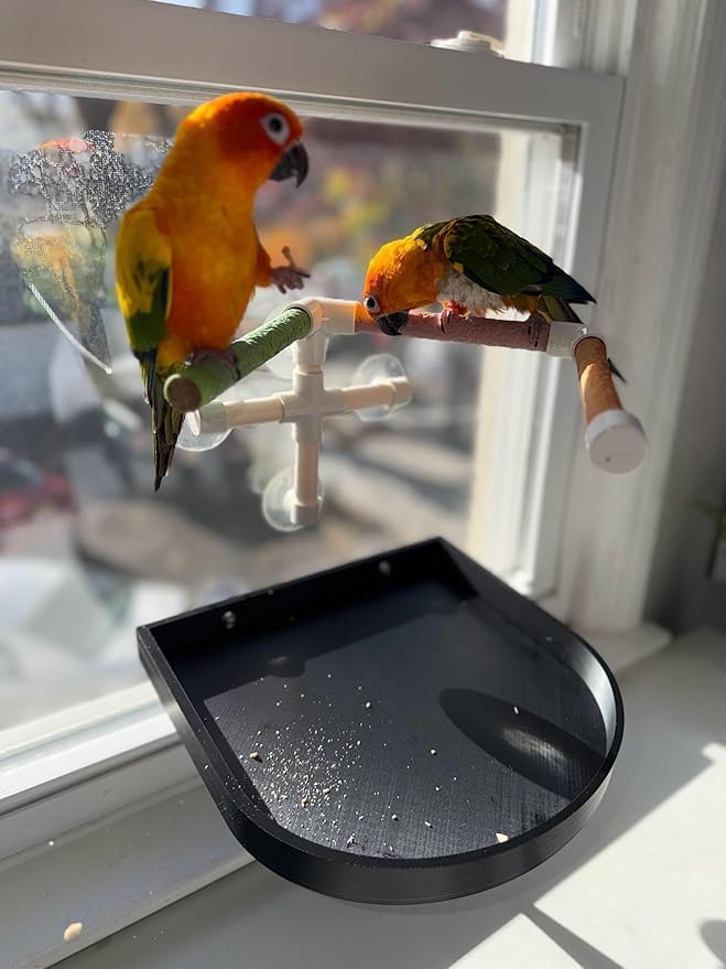 CleanPerch™ Bird Food Waste Catcher Tray with Suction Cups. Seed, Shell & Dropping Catcher with Patent-Pending Design. Easy-Clean, Low Profile (Black, 12" x 11.5" x 3.7") - color: Black, size: 12" x 11.5" x 3.7"