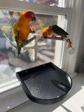 CleanPerch™ Bird Food Waste Catcher Tray with Suction Cups. Seed, Shell & Dropping Catcher with Patent-Pending Design. Easy-Clean, Low Profile (Black, 12" x 11.5" x 3.7") - color: Black, size: 12" x 11.5" x 3.7"