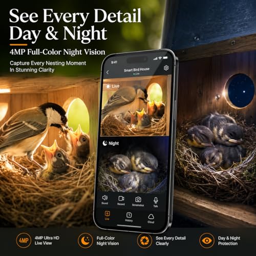 Smart Bird House with Camera, Bamboo Wooden Birdhouse for Outdoor Bird Watching, App Live View, Color Night Vision, Motion Detection, Waterproof Bird Nesting Box - color: Modern Bamboo, size: Wired Edition