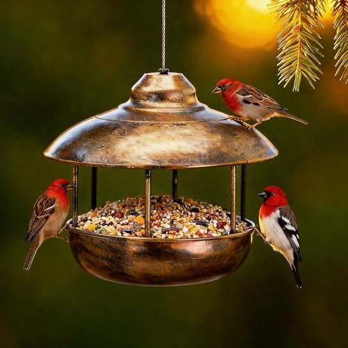 Metal Roof Bird Feeder for Outdoors,Retro Lantern Easy-Clean | Unique Retro Lantern Style, Heavy-Duty Metal Easy-Clean Tray, Garden Yard Patio Decor
