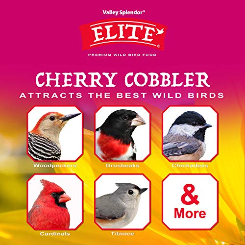 Cherry Cobbler - size: 5 Pound (Pack of 1)