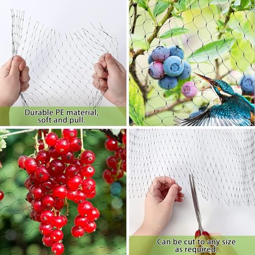 Bird Netting for Garden, 13Ft x 33Ft Reusable Garden Netting Plants Barrier, Plant Mesh Net Protect Fruit Tree Seedlings Plants from Birds, Cicadas, Rodents, Black - color: Black