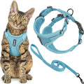 Voyager Escape-Proof Step-in Lock Cat Harness & 5ft Neoprene-Handle Leash Set All-Weather Mesh with Reflective Stitching for Small to Large Cats by Best Pet Supplies, Baby Blue (327), XS - color: Baby Blue (327), size: XS (Chest: 13 - 16")