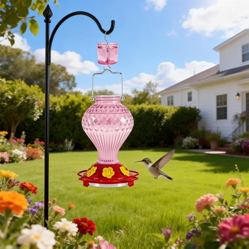 Glass Hummingbird Feeder for Outdoors Hanging, 20 oz Nectar Capacity, 6 Feeding Ports, Leak-Proof Rust-Free Plastic Base, Easy to Refill & Clean, Decorative Pink Glass Bird Feeder for Garden Patio - color: Pink, size: 20 Fluid Ounces