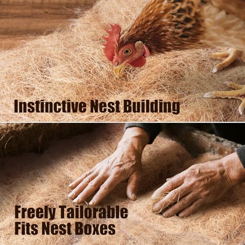 Laying Hen Nesting Pads, Premium Bedding for Chicken Nesting Box, Chicken Coop Accessories, 13x13, 6 Pieces (2 Pack) - size: 6 pieces