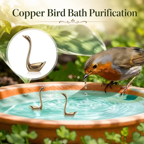 4 Pcs Mini Bird Bath Copper Ornaments Bird Bath Purification Disk Birdbath Cleaner Single 1 oz Weight Universal Fit for Outdoor Birdbaths, Bowl(Goose) - style: Goose