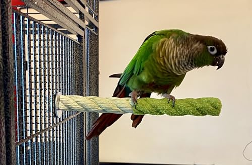 Polly's Sand-E-Rope Safety Bird Perch Toy-Trims Nails & Beak-Promotes Healthy Feet-Safe Non-Toxic-Bird Supplies for Bird Cages (Green, Small) - color: Green, size: Small