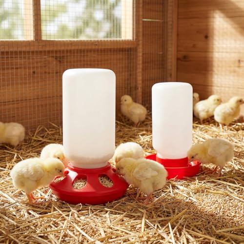 Chick Feeder and Waterer Set, Chicken Quail Feeder and Waterer Chicken Coop Accessories 8-Hole Compact Brooder Supplies for Chicks, Ducklings and Small Poultry