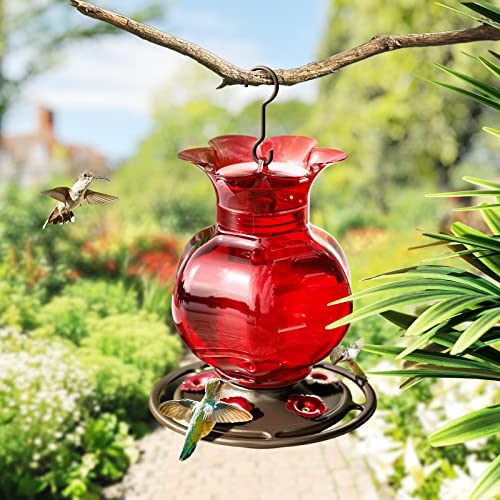 Auslar Glass Hummingbird Feeders for Outdoors Hanging, Red, 23 Oz | Hummingbird Feeder with Ant Moat & 5 Anti-Bee Feeding Ports, Ant and Bee Proof, Leakproof, Easy Clean and Fill, Garden Decor