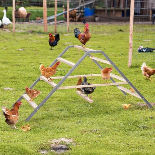 PETSFIT Chicken Perch, Solid Wood & Rustproof Iron Roosting Bar with Swing | Fits 10-12 Chickens, Promotes Natural Exercise, Easy to Assemble and Clean, Backyard Coops and Farms, All-Weather Outdoor Use - size: 62"Lx24"Wx28"H