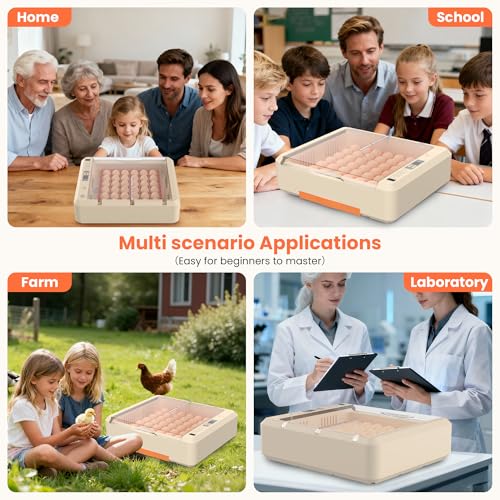 Egg Incubator with Auto Turning and Humidity Control, 36-60 Eggs Hatcher with External Drawer Water Tank, Adjustable Space for Chicken Duck Goose Quail Turkey Eggs, Orange