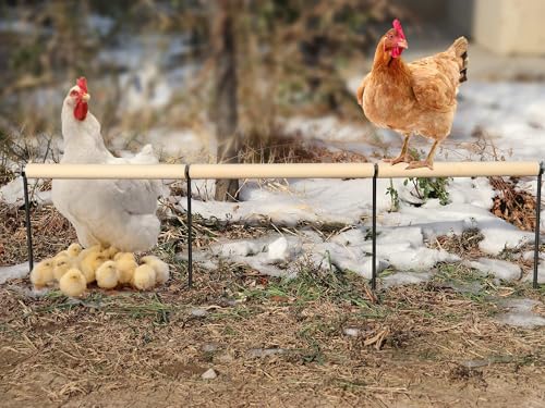 Chicken Coop Accessories, Extra Long Wooden Chicken Roosting Perch with Metal Stakes, Roosting Bars for Chickens in Coop, Chicken Enrichment Toys