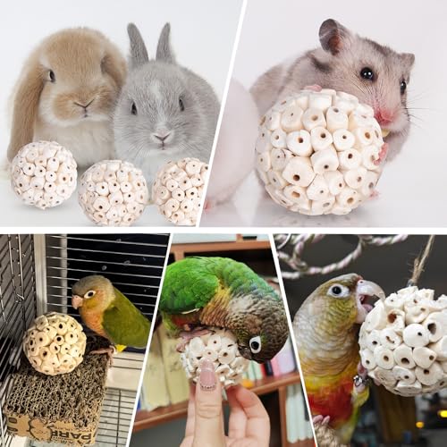 12 Pack Bird Toy Sola Balls, Natural Parrot Soft Chew Shredding & Foraging Toy, Bird Foot Balls for Cockatiel Conure Quaker Budgie Parakeet Bunny Guinea Pig Chinchilla Rabbit - size: 12