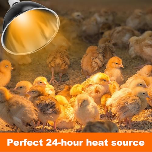 Chicks Brooder Box for Chicken Starter Kit- Includes Timing Heat Lamp Set, Detachable Chicken Brooder, Up to 15 Chicks, Sawdust, Chick Feeder and Waterer Set, Chick Perch 6-in-1 Chicken Coop Set.(Red)