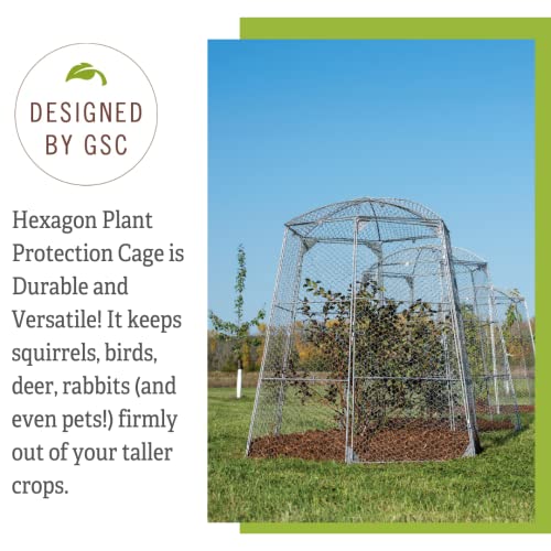 Gardener's Supply Company Chicken Wire Super Dome Plant Protector | Durable Weatherproof Low Carbon Steel Hinged Doors for Easy Access | 45" (Side to Side) 51.5" Height