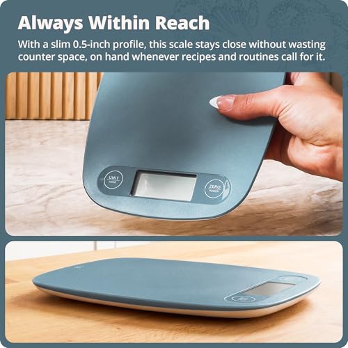 Greater Goods Food Scale, Slim & Compact Build, 1g Precision (Stone Blue) | Digital Kitchen Scale for Cooking, Meal Prep & Portion Control, Tare, Auto Shut-Off, g/oz/lb/ml Conversion & Calorie Tracking - color: Stone Blue