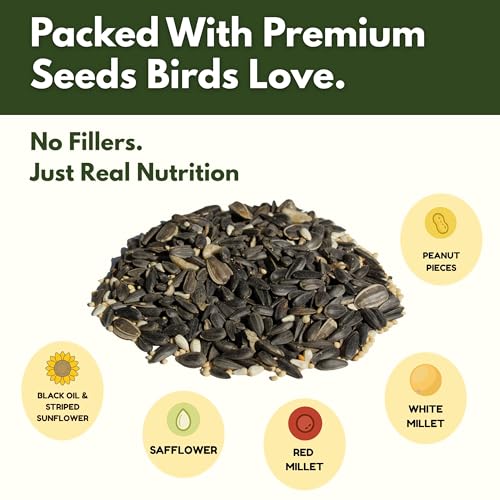 Freebird Premium Songbird Blend Wild Bird Seed for Outdoor Feeders - 5 lb | Premium bird food with black oil sunflower, safflower, millet and peanut pieces. Attracts cardinals, finches and chickadees.