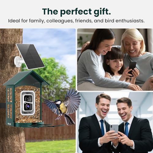 SOLIOM Bird Feeder with Camera, Solar Smart Bird Feeder Camera with AI Bird Identification, 2K HD Live View & Instant Alerts, Squirrel-Proof Metal Outdoor Bird Feeder, Bird Watching Gift Set (Green) - color: Green Medium Set