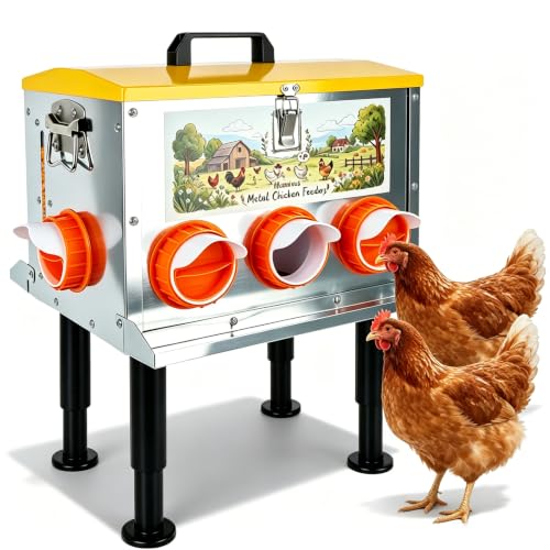 55 LB Metal Automatic Outdoor Chicken Feeder with Adjustable Legs | Large Outdoor Chicken Feed Bin,Waterproof & Rat-Resistant Poultry Feeder for Chickens, Hens & Backyard Flocks